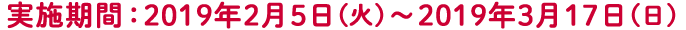 実施期間：2019年2月5日(火)～2019年3月17日(日)