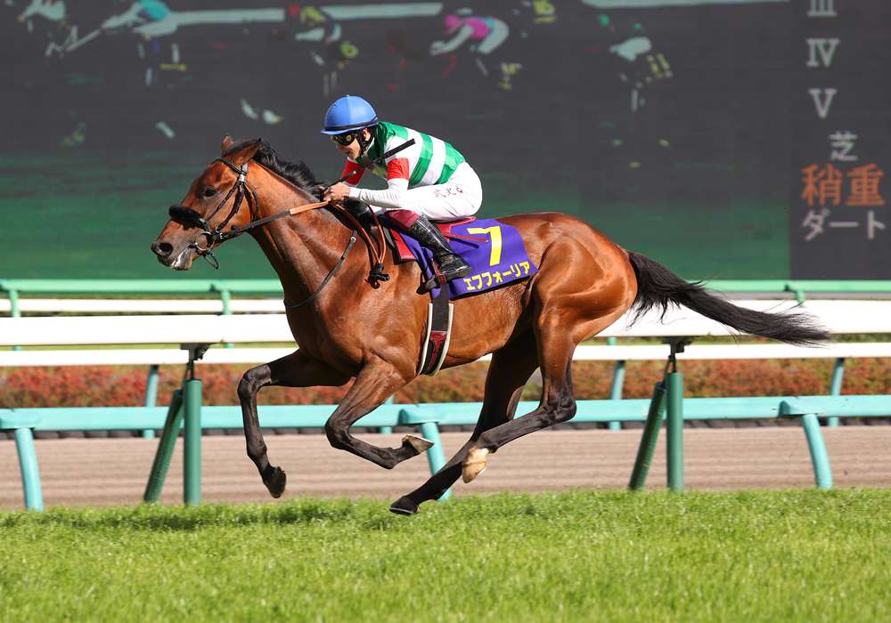 3歳クラシックで活躍！ エピファネイア産駒の特徴を探る（JRA-VAN
