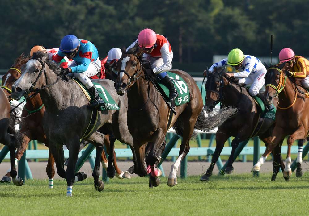 秋競馬開幕 秋華賞トライアル 紫苑ｓ分析 Jra Vanコラム スポーツ情報はdメニュースポーツ