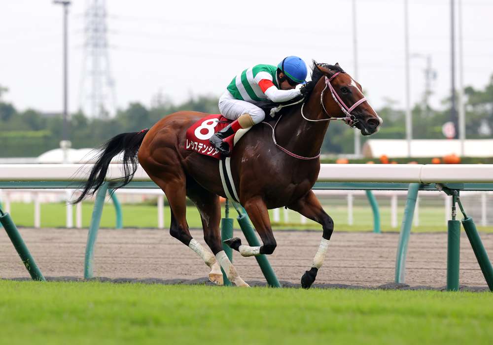 秋のｇ１シリーズの幕が上がる スプリンターズｓを分析 Jra Vanコラム スポーツ情報はdメニュースポーツ