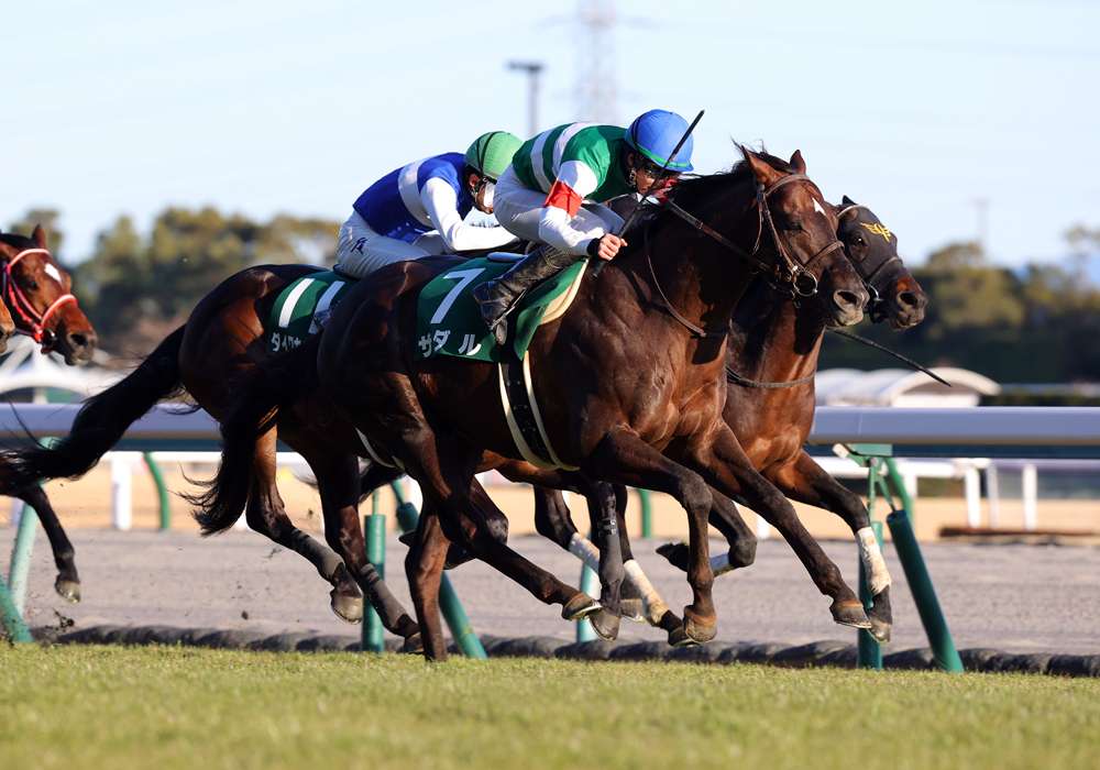 ハンデ戦で気になる「0.5キロ」についてデータを分析 （JRA-VANコラム）｜スポーツ情報はdメニュースポーツ