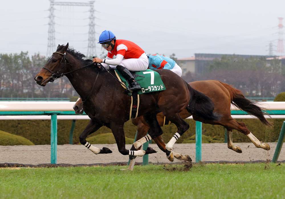 待望の重賞初制覇！ 岩田望来を分析する （JRA-VANコラム）｜スポーツ