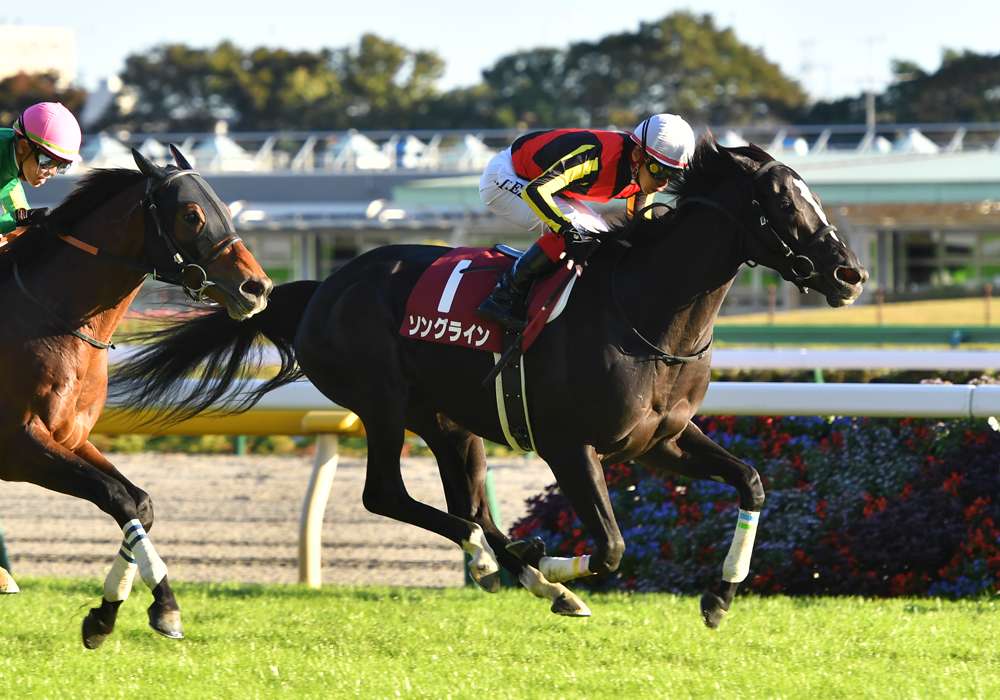 波乱要素は 春のマイル王決定戦 安田記念を分析する Jra Vanコラム スポーツ情報はdメニュースポーツ