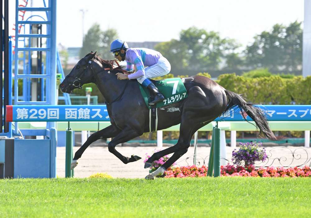 牡牝の産駒で成績の差が大きい種牡馬は？（JRA-VANコラム）｜スポーツ情報はdメニュースポーツ