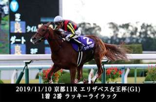 阪神芝2200mのエリザベス女王杯で注目したい馬は？