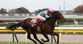 11月に入って重賞勝利が続くオルフェーヴル産駒を分析