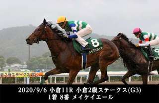 2020年にデビューした新種牡馬の産駒成績をチェック!