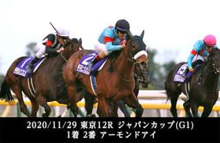 データでもわかる牝馬の活躍が際立った2020年の重賞戦線