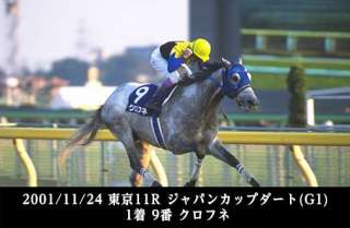 クロフネと、その産駒の活躍を振り返る