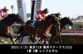 ロードカナロア産駒のダート成績をチェック!