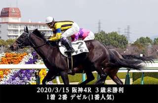3歳未勝利戦でデビューする馬の狙いどころは?