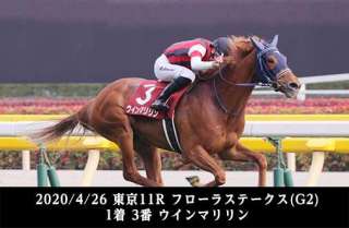 史上最年少の関東リーディングを獲得!横山武史騎手を分析!