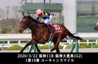 「京都G1以外の芝3000m以上」の傾向を調べる