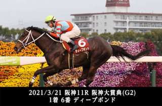 存在感を増すキズナ産駒の特徴を探る!