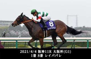 レイパパレに続け! 小柄な牝馬に関するデータを分析