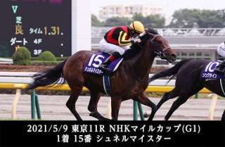 外国産馬の重賞成績を振り返る