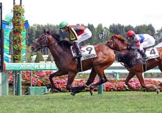札幌芝1500m戦の傾向は?