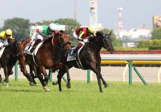 ダービーの結果を受けて菊花賞に思いを巡らす