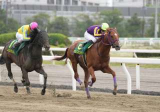 衝撃の結末に呆然!? 前半のダートJpn1を振り返る