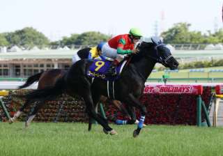 オークス馬を出すなど注目の「母の父ロージズインメイ」を分析