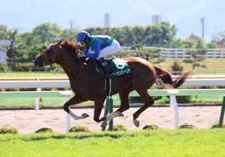 弟に触発されてブレイクか!? 横山和生騎手を分析する