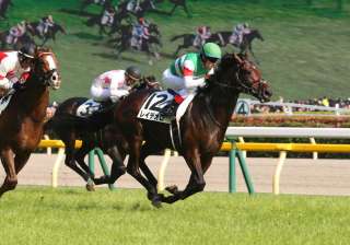 実はかなりの好成績を残す「マクリ」のデータを分析