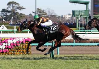 リステッド競走優勝馬はハイレベル!?