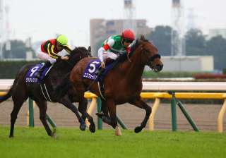 重賞成績を見れば一目瞭然! 今年の3歳馬はハイレベル!