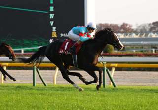 新馬戦で1秒差以上の圧勝を飾った馬の次走を分析する