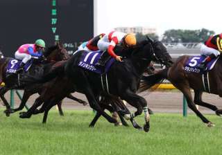 2021年JRA最高勝率を誇る川田将雅騎手を分析する!