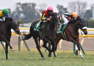 3歳牝馬G1シリーズへ注目の前哨戦! クイーンCを分析
