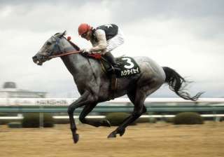 皐月賞馬、桜花賞馬の前走は?