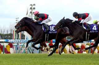 芝マイル重賞で好成績を残す種牡馬・騎手は?