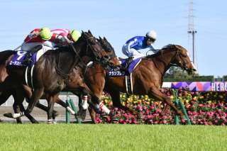 3連単100万円以上の大波乱G1の特徴とは?