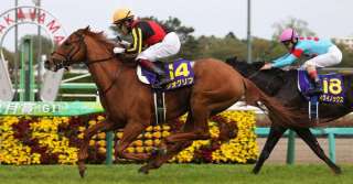 素質馬がデビュー! 東京芝の2歳新馬戦を分析する