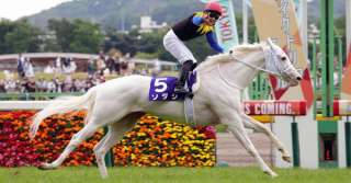 夏の新馬戦「上がり1位」馬は将来有望か!?