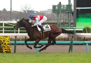 波乱傾向が強いラジオNIKKEI賞の狙い目は?