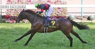 七夕賞の連軸・相手候補の考え方について