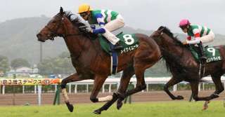 夏開催の2歳芝1200m戦で強い騎手、厩舎、種牡馬は?