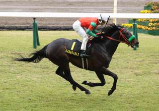 前走よりハンデ減がカギ? 荒れる函館記念を展望する