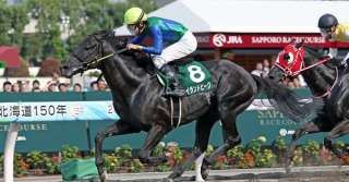 札幌ダート1700mの傾向を分析する