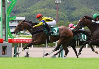 今年も小倉代替の中京記念を分析する