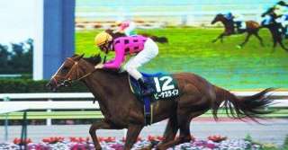 リーディング上位厩舎の開業後５年間の成績は？