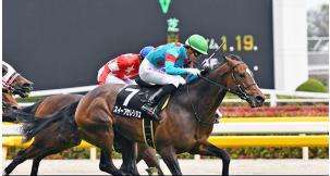 波乱傾向が強い函館スプリントSを分析する