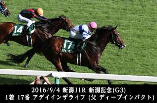 夏の新潟開催終盤の芝コースで「買い」の種牡馬は?