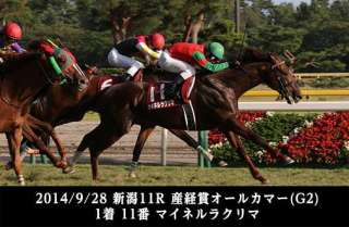 新設レース・新潟牝馬Sの舞台となる新潟芝2200mを分析!